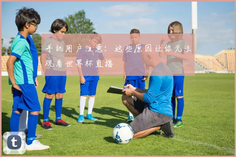手机用户注意：这些原因让你无法观看世界杯直播